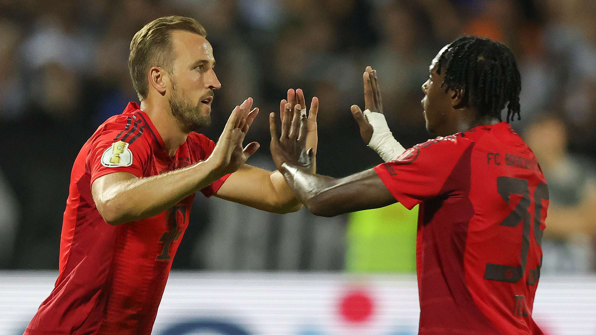 球迷们愿意 球迷们愿意