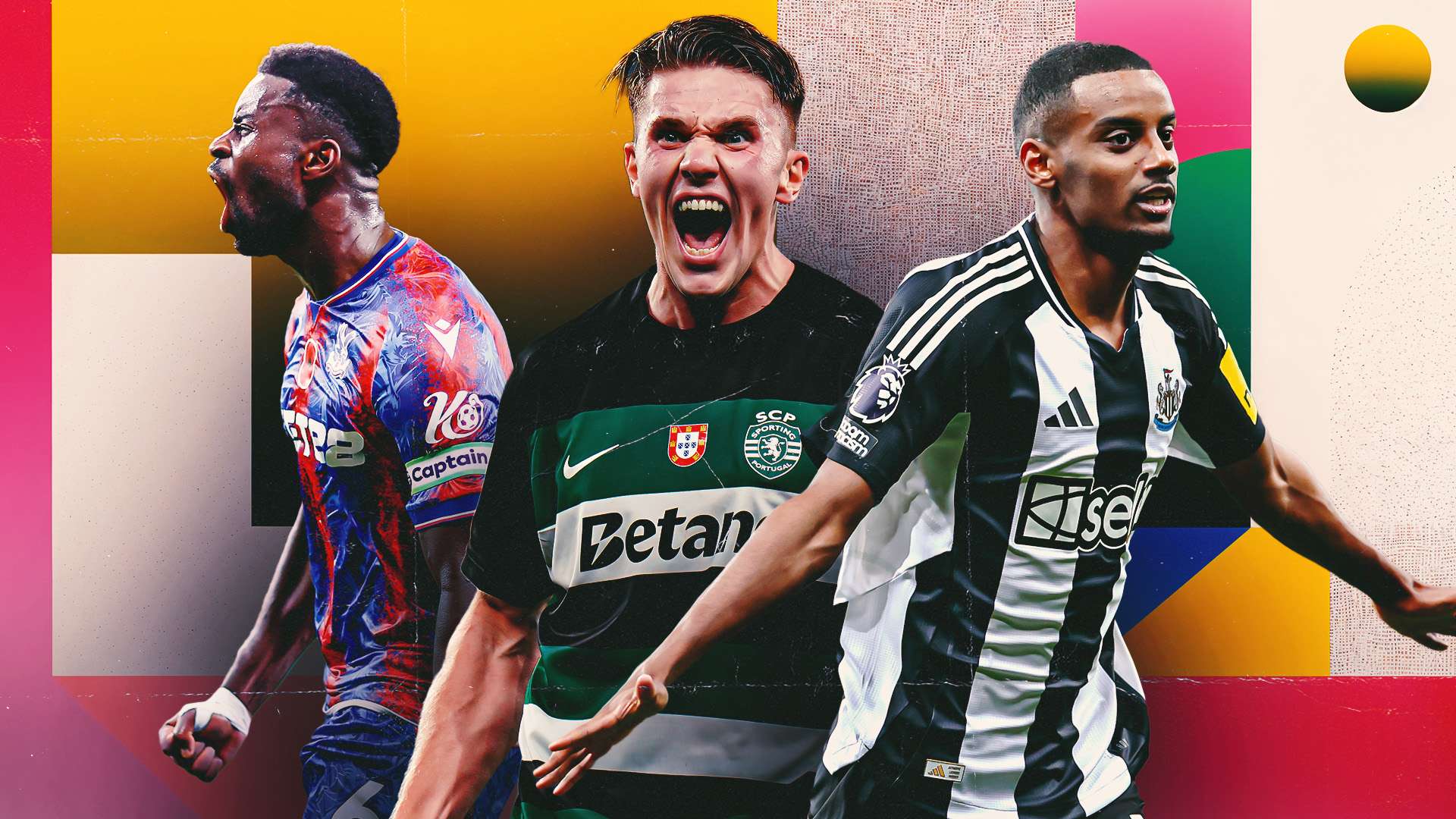 仅鲜明地展 仅鲜明地展